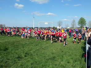 爱游戏体育账号注册-青少年体育运动社会支持系统研究，青少年体育运动社会支持系统研究现状